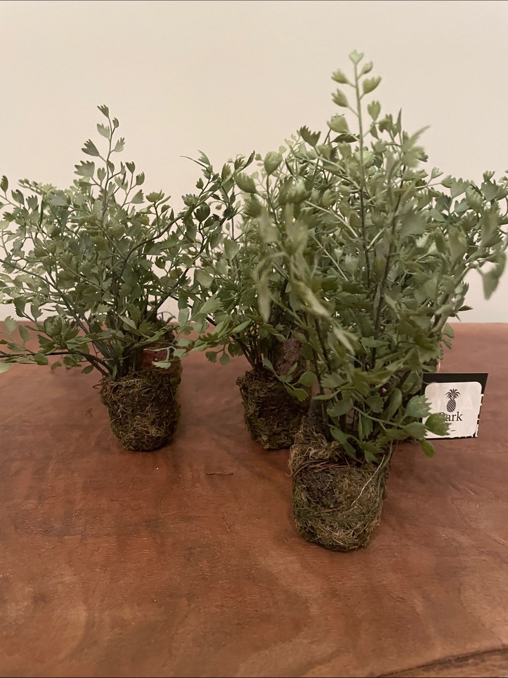 Maidenhair Drop-in